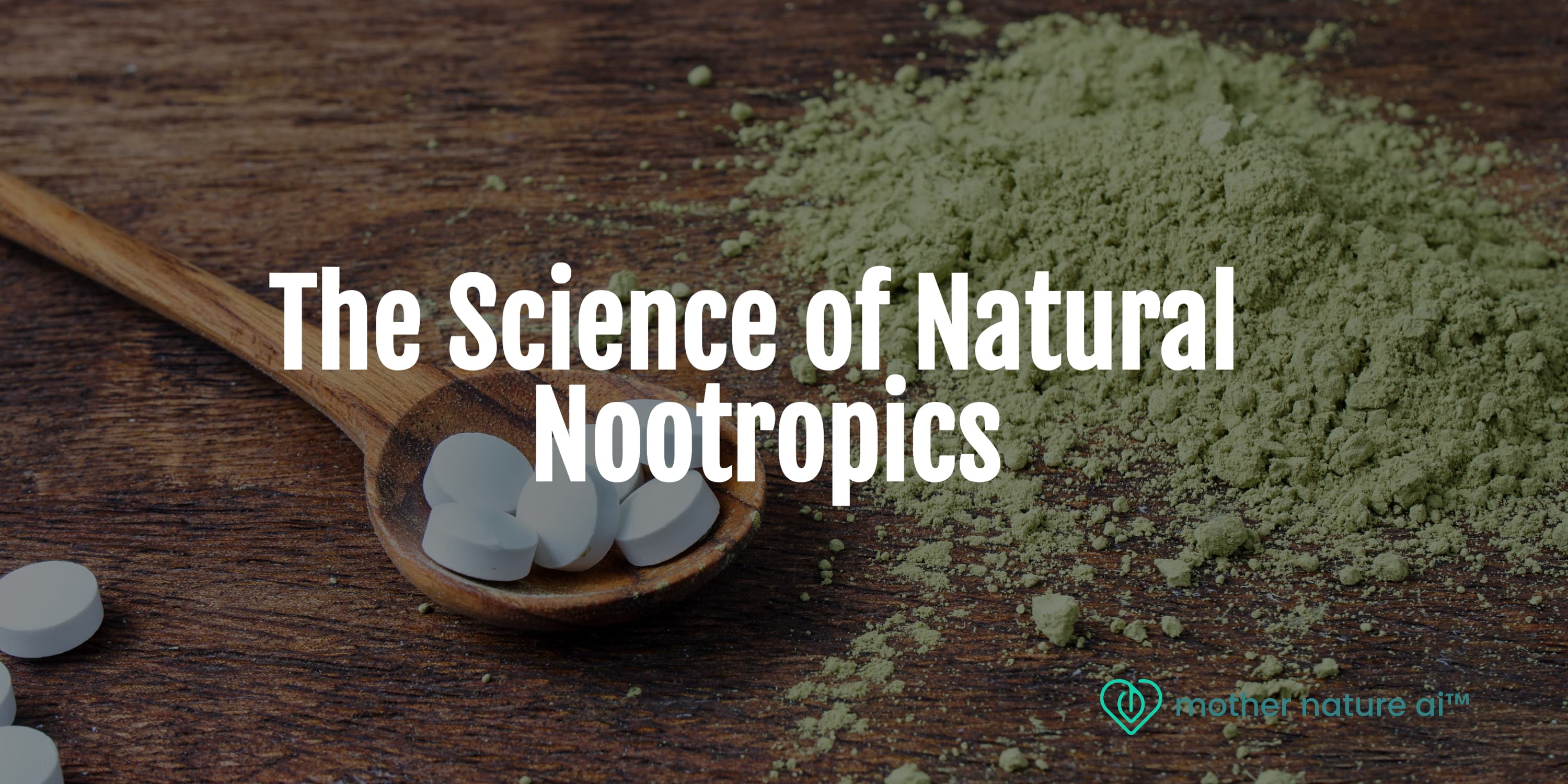 Featured image for How AI in Plant Medicine Is Decoding the Ancient Language of Plant Medicine