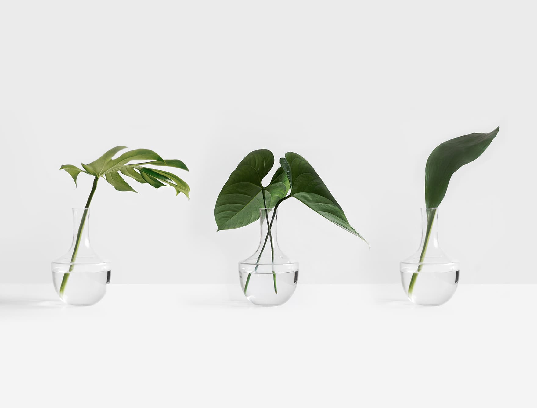 Featured image for Natural Skin Care from Within: How Beauty Foods Are Revolutionizing Skincare