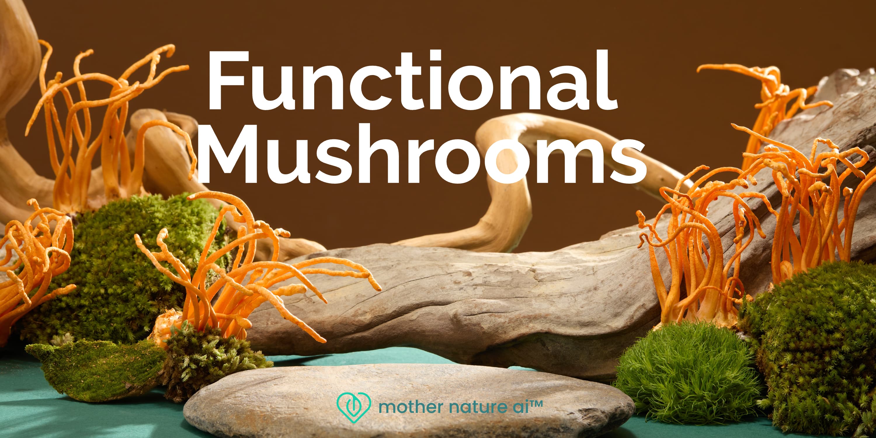 Featured image for Hacking Your Nervous System: Why Vagus Nerve Stimulation is the #1 Bio-Hack for 2025