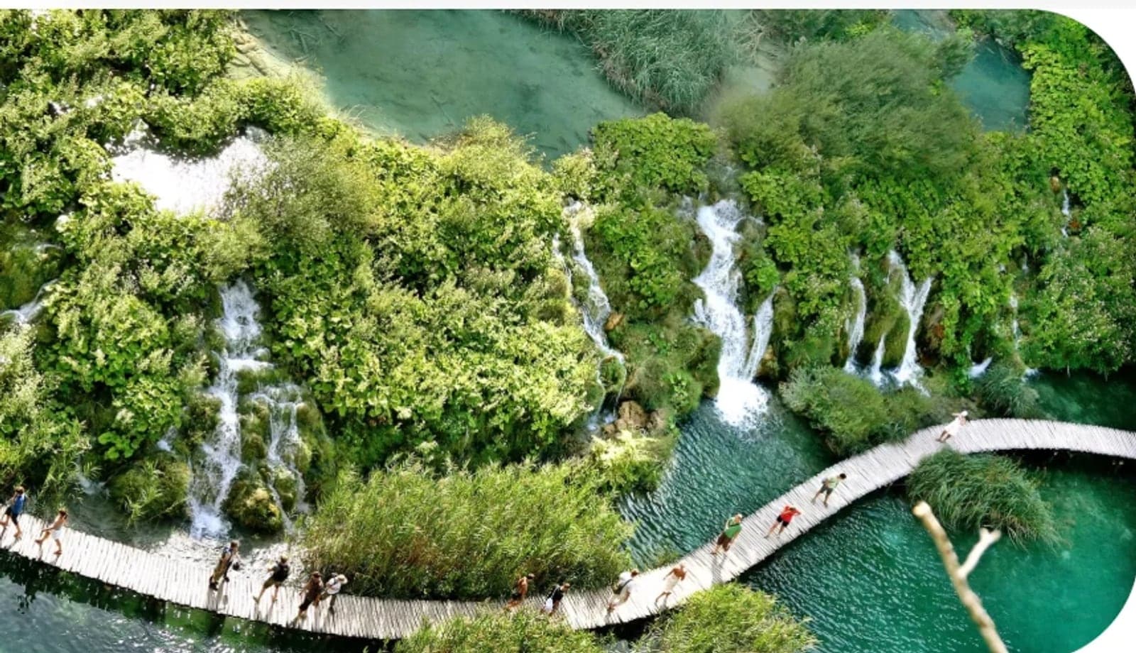 A wooden boardwalk winding over turquoise pools and waterfalls through a green forest